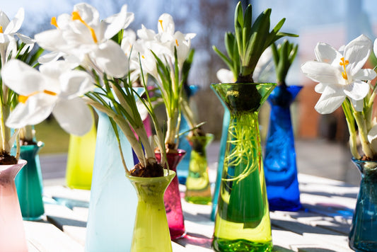 Hyacintglas Resedagrøn transparent - Pink Rose ApS