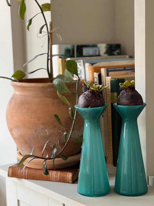 Hyacintglas Turkis Opal - Pink Rose ApS