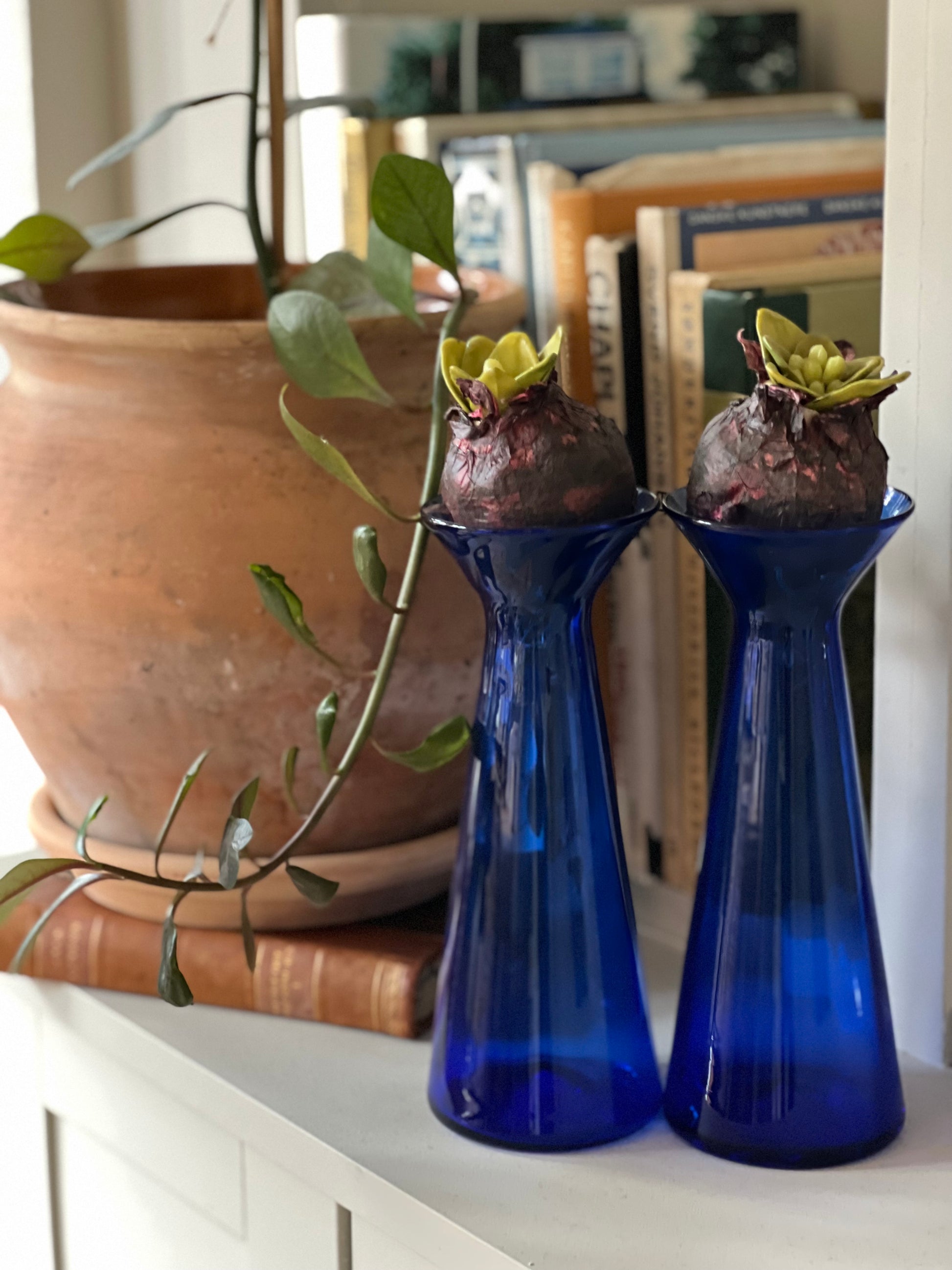 To Hyacintglas i Koboltblå transparent
